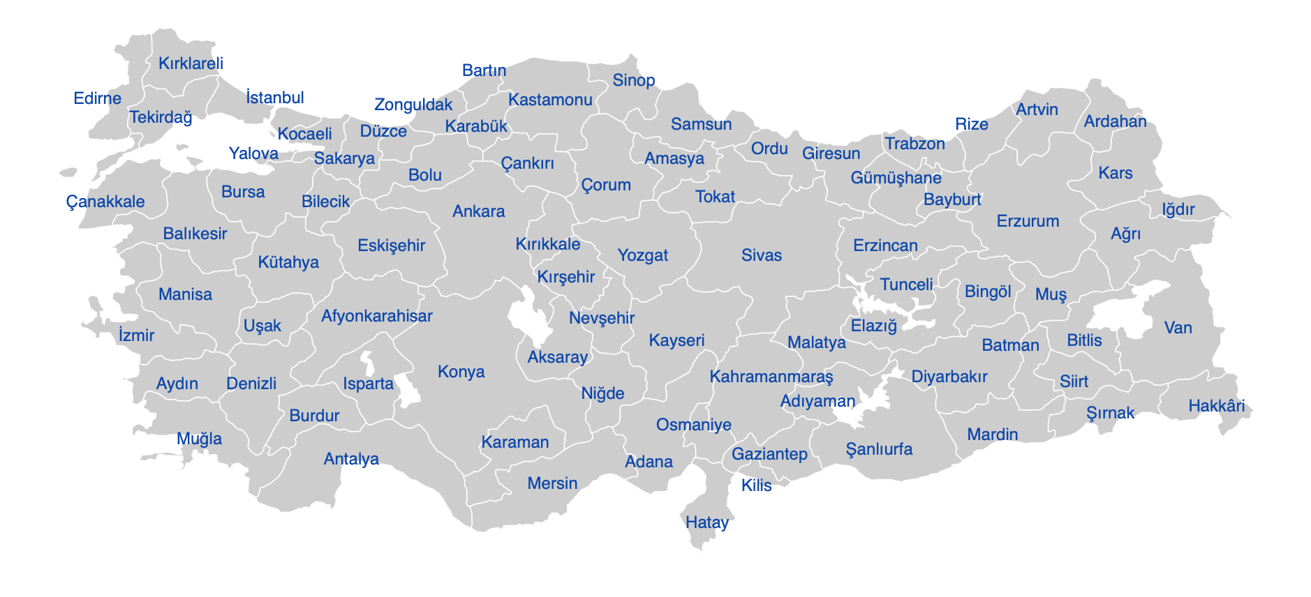 Teşkilatlanma